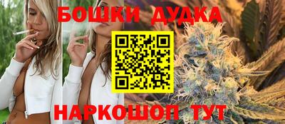 шишки Лесосибирск